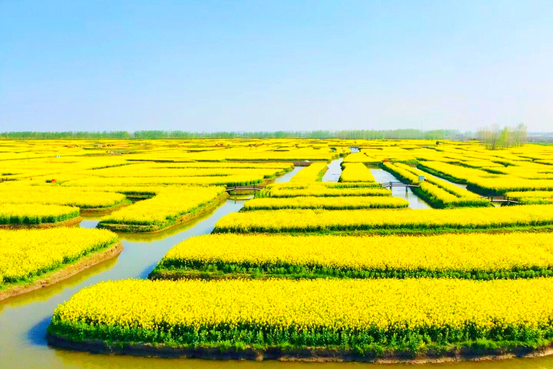 船山创天府旅游名县｜元旦、春节“双节”游玩攻略来啦！在船山赏灯会、品美食……(图5)